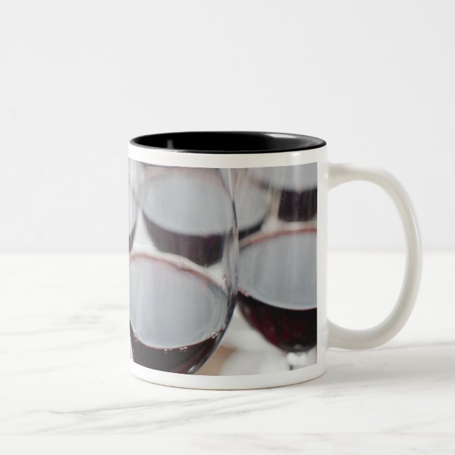 Bodega Marques de Riscal winery, wine tasting Two-Tone Coffee Mug (Right)