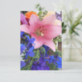 Bodichon (Standing Front)