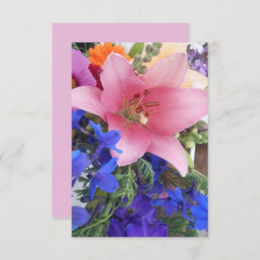 Bodichon (Front/Back)