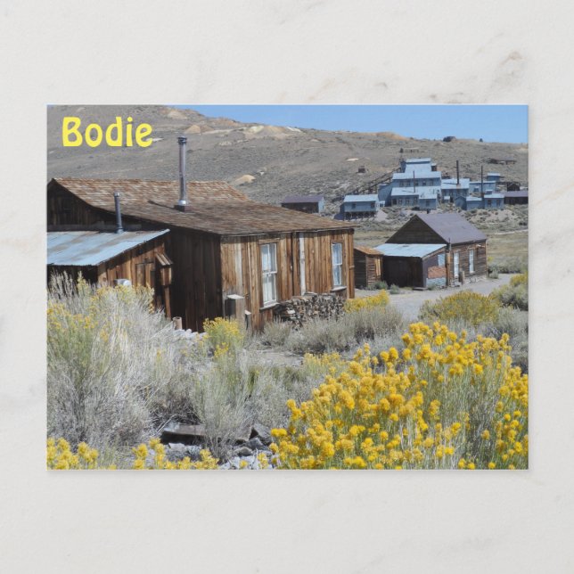 Bodie, CA Postcard (Front)
