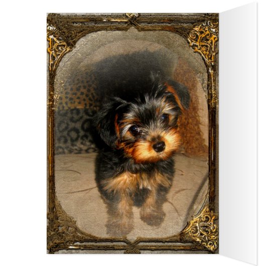 Body Image Customizable (Inside (Left))