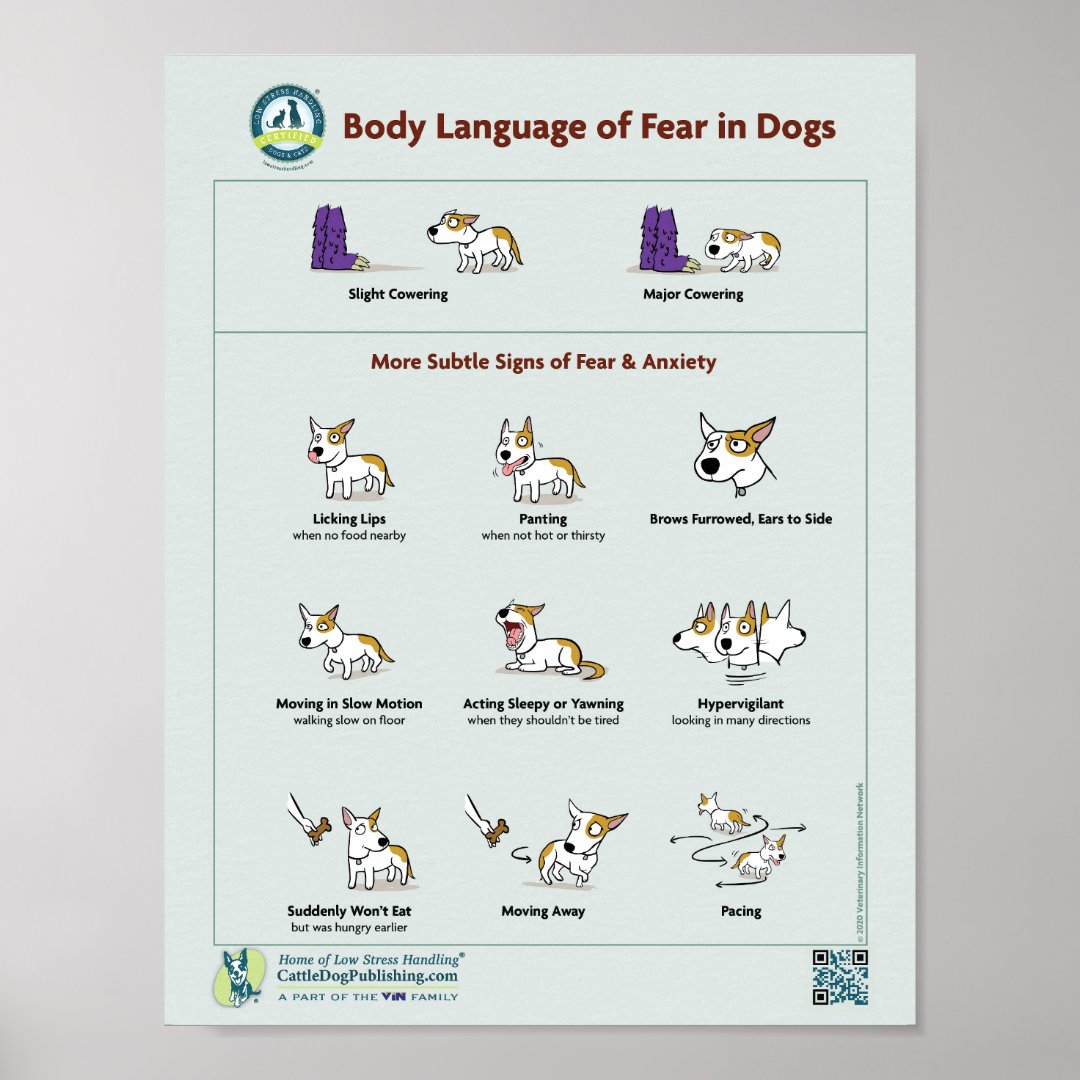 Body Language of Fear in Dogs Poster | Zazzle