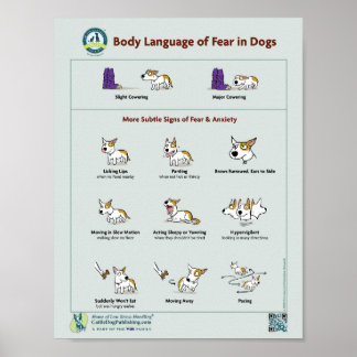 Body Language of Fear in Dogs Poster