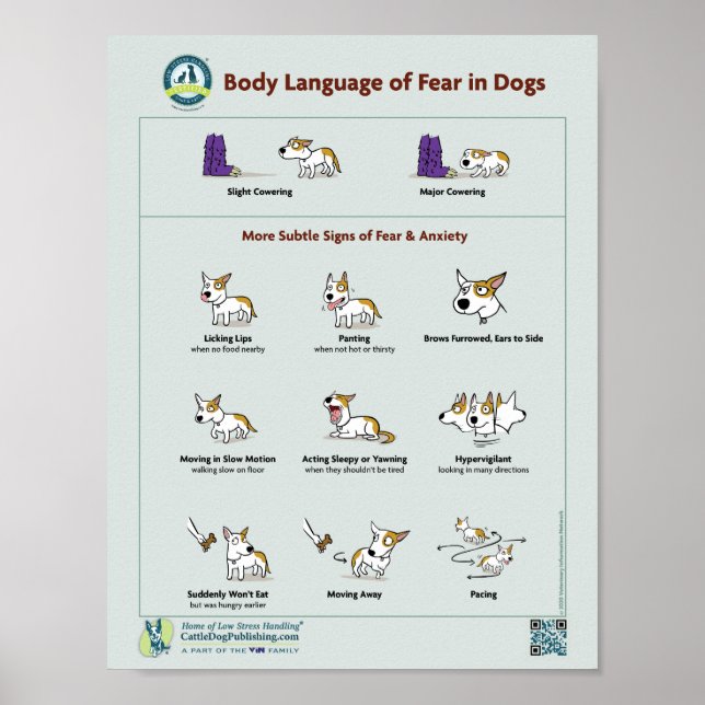 Body Language of Fear in Dogs Poster (Front)