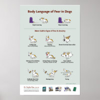 Body Language of Fear in Dogs