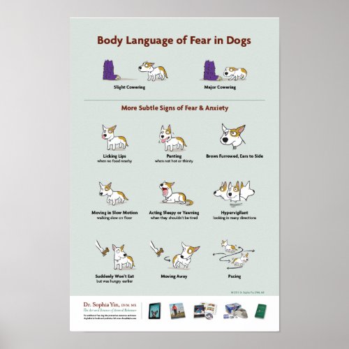 Body Language of Fear in Dogs Poster