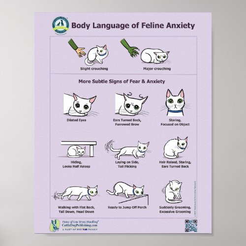 Body Language of Feline Anxiety Poster