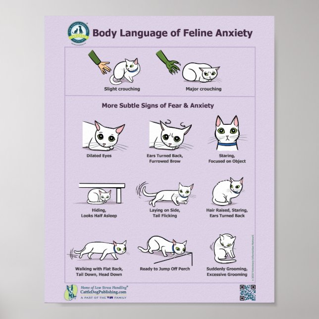 Body Language of Feline Anxiety Poster (Front)