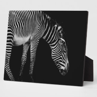 Body Language Plaque