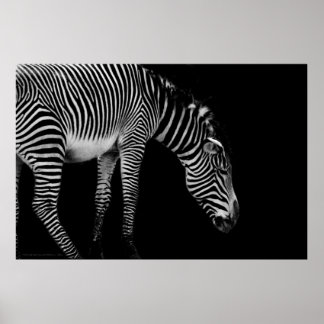 Body Language Print