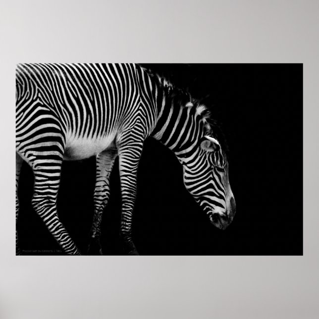 Body Language Print (Front)