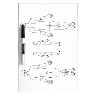 Body Map Dry Erase Board