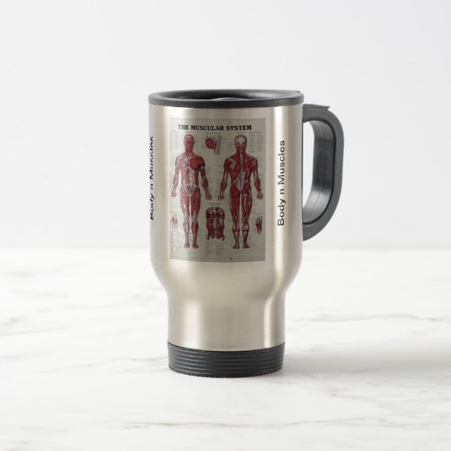 Body n Muscles cup (Front Right)