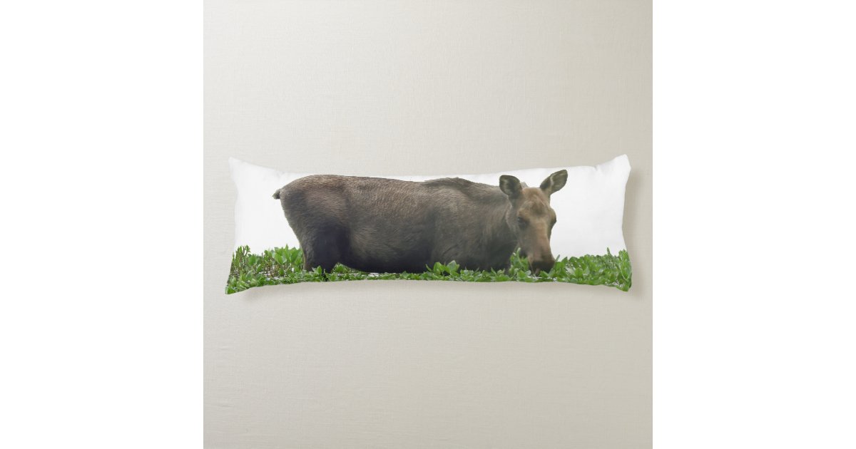 moose body pillow