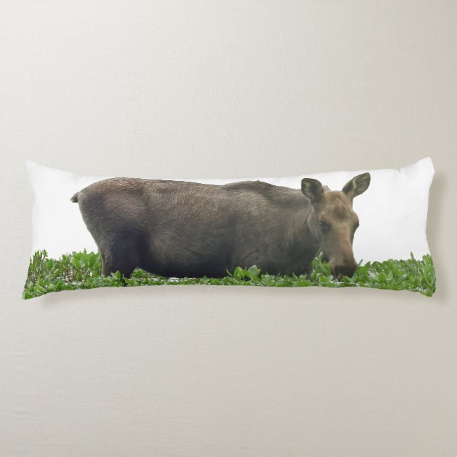 Body Pillow of moose (Front)