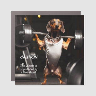 Bodybuilder Dachshund Car Magnet