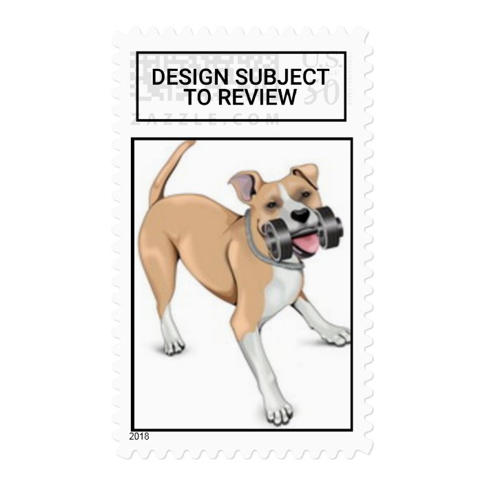 zazzle