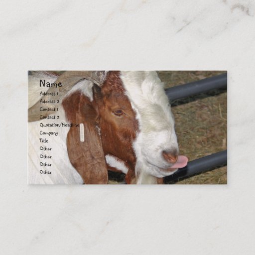 Customizable Boer Goat Billy Sticking His Tongue Out Business Cards