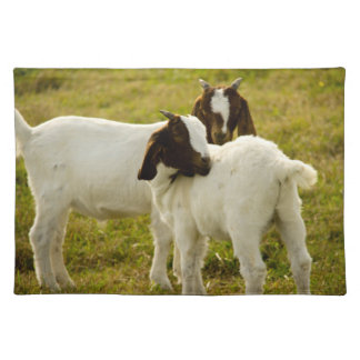 Boer Goat Kids in Nature Pasture Photo Cloth Placemat