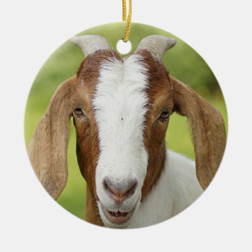 Boer Goat Nanny Kid Ceramic Ornament