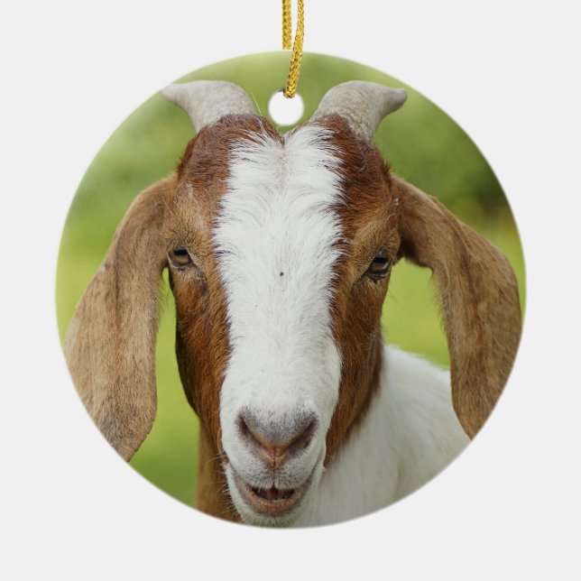 Boer Goat Nanny Kid Ceramic Ornament (Front)