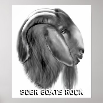 Boer Goat Poster by getyergoat at Zazzle