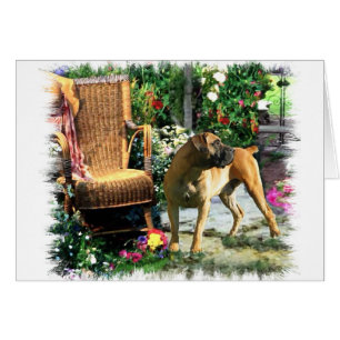 Boerboel Art Gifts Cards