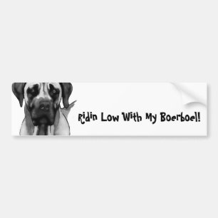 Boerboel Bumber Sticker