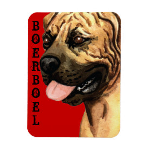 Boerboel Color Block Magnet