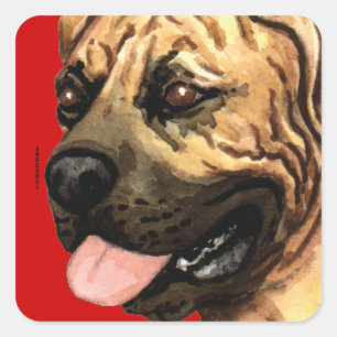 Boerboel Color Block Square Sticker