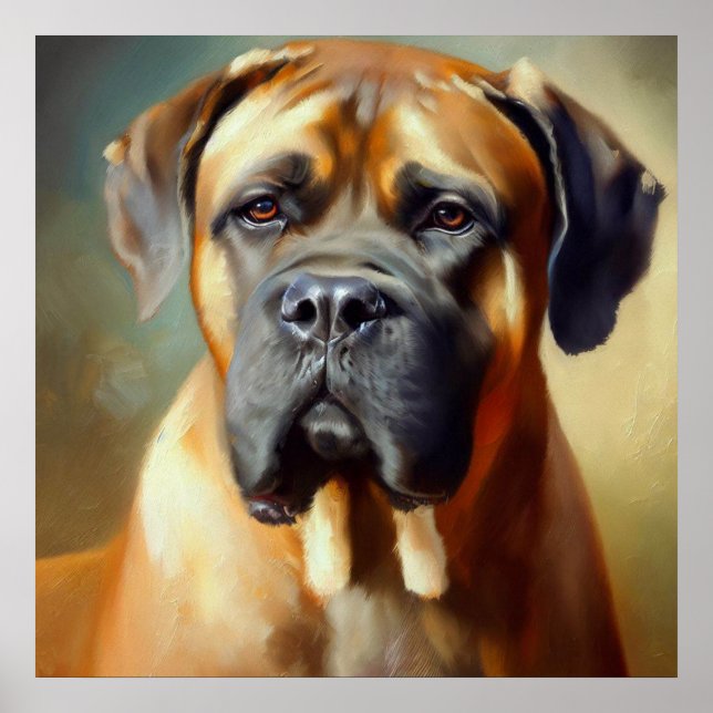 Boerboel Dog  Poster (Front)