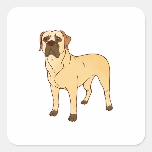 Boerboel dog square sticker (Front)