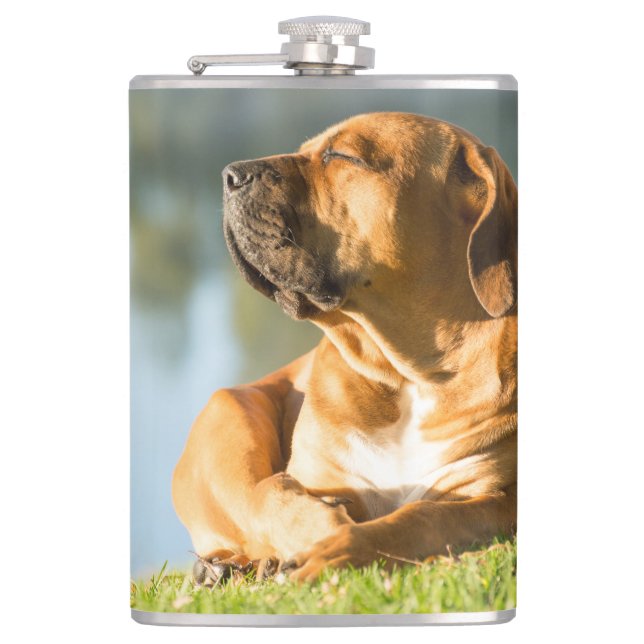 Boerboel Flask (Front)