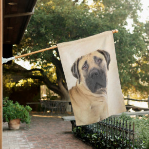 Boerboel Painting - Cute Original Dog Art House Flag