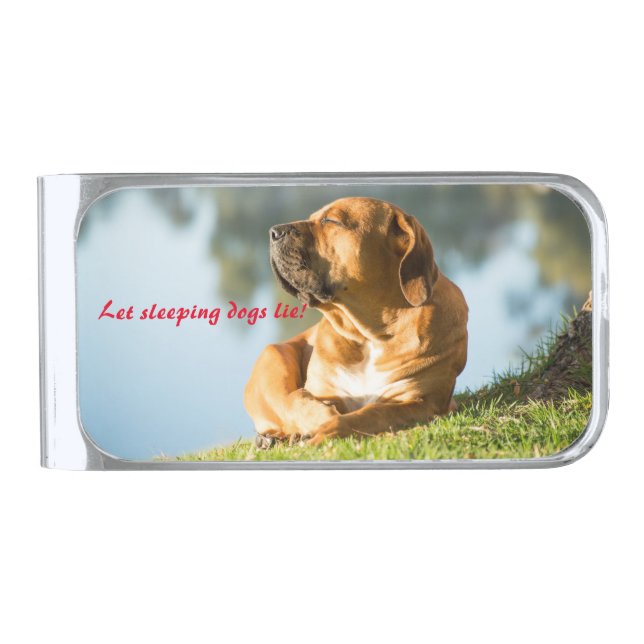 Boerboel Silver Finish Money Clip (Front)