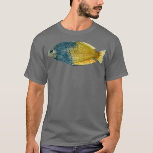 Boesemani Rainbowfish T-Shirt