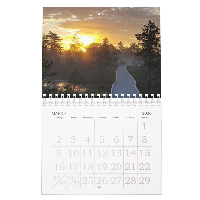 Bog Light Estonian Bogs  Calendar (Mar 2026)