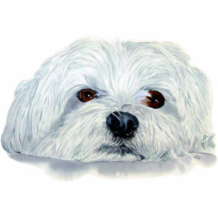 Bogart the Maltese Sculpture