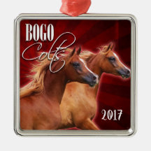 BOGO Burst 2017 Ornament