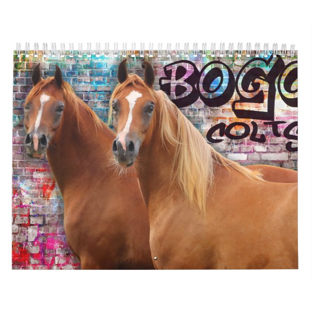 BOGO Colts 2 year old photos Calendar (Cover)