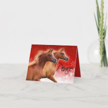 BOGO Colts "Peace" Christmas Card