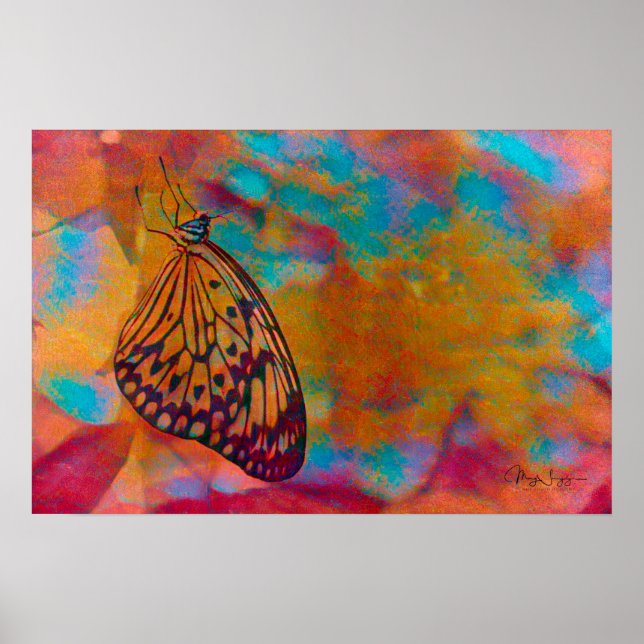 Bohemian Blue Orange Hippie Butterfly Poster (Front)