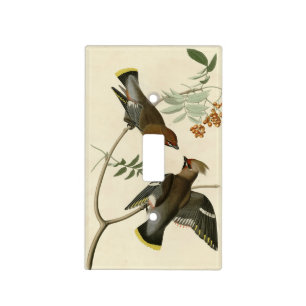 Bohemian Chatterer (Waxwing) Audubon Birds America Light Switch Cover