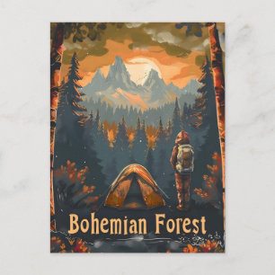 Bohemian Forest vintage Postcard