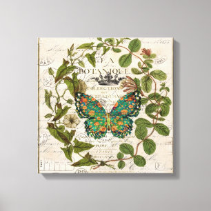 bohemian scripts french botanical butterfly canvas print