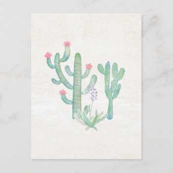 Bohemian Watercolor Cactus Postcard by wildapple at Zazzle