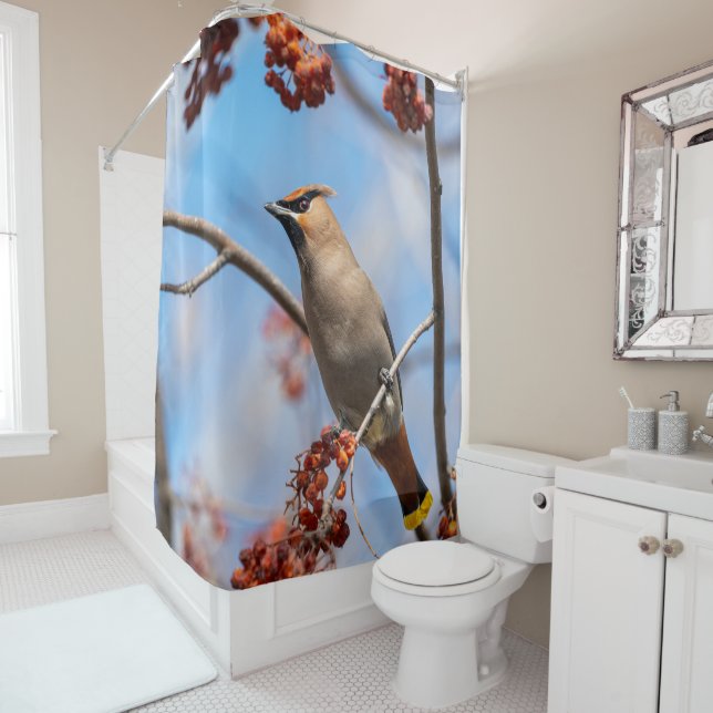 Bohemian Waxwing, Blue Sky Background Shower Curtain (In Situ)