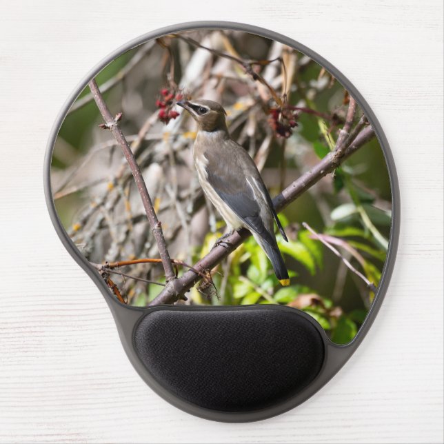 Bohemian Waxwing, Canadian Avian Photography Gel Mouse Pad (Front)