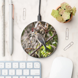 Bohemian Waxwing, Canadian Avian Photography Wireless Charger
