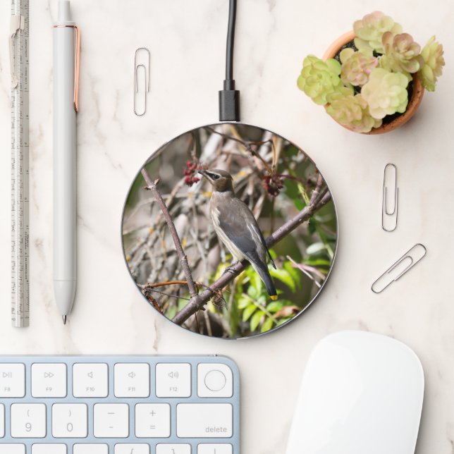Bohemian Waxwing, Canadian Avian Photography Wireless Charger (Desk)